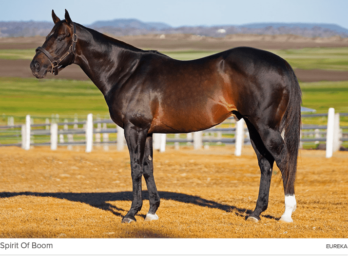 Spirit Of Boom Eurek