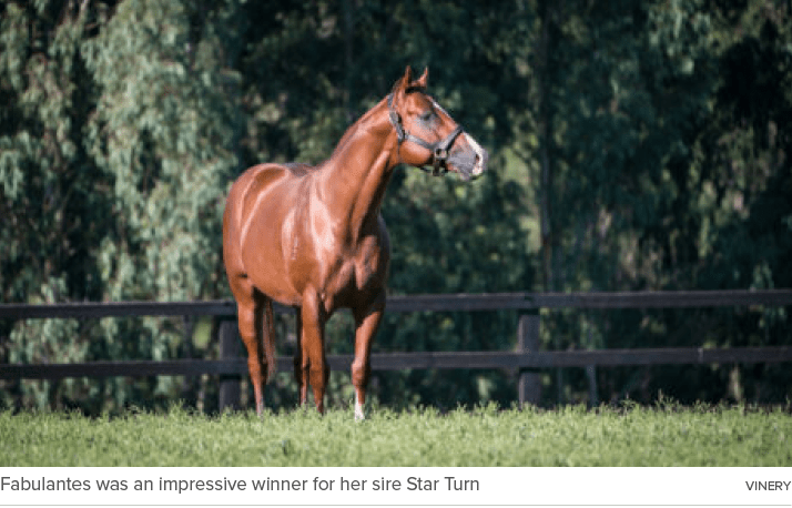 Fabulantes was an impressive winner for her sire Star Turn Viner
