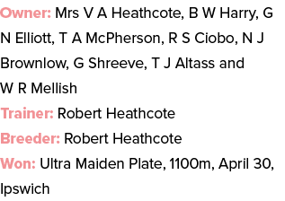 Owner: Mrs V A Heathcote, B W Harry, G N Elliott, T A McPherson, R S Ciobo, N J Brownlow, G Shreeve, T J Altass and W...