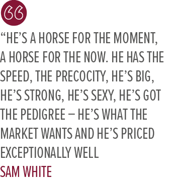 “He’s a horse for the moment, a horse for the now. He has the speed, the precocity, he’s big, he’s strong, he’s sexy,...