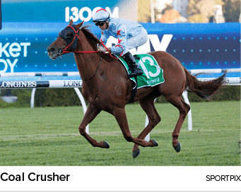 Coal Crusher Sportpi