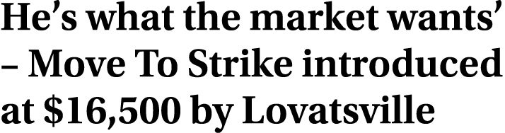 He’s what the market wants’ – Move To Strike introduced at $16,500 by Lovatsville