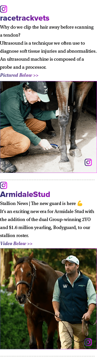 ￼ racetrackvets Why do we clip the hair away before scanning a tendon?⁠ Ultrasound is a technique we often use to dia...