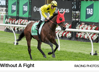 Without A Fight racing photo