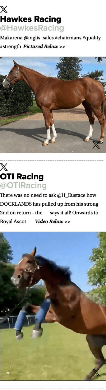 ￼ Hawkes Racing @HawkesRacing Makarena @inglis_sales #chairmans #quality #strength Pictured Below   ￼ ￼ OTI Racing @...