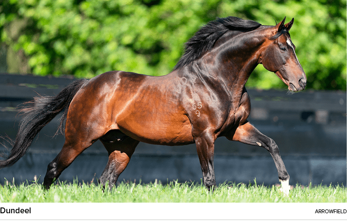 Dundeel arrowfiel