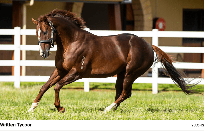 Written Tycoon yulon