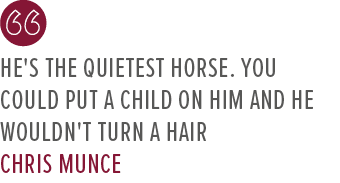 He's the quietest horse. You could put a child on him and he wouldn't turn a hair Chris Munc