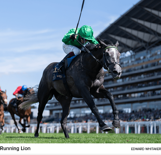 Running Lion Edward Whitake