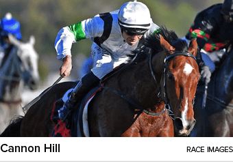 Cannon Hill Race Image