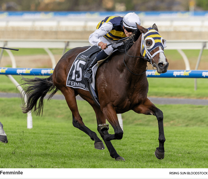 Femminile Rising Sun Bloodstoc