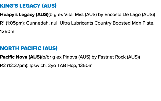 King’s Legacy (AUS) Heapy’s Legacy (AUS)(b g ex Vital Mist (AUS) by Encosta De Lago (AUS)) R1 (1:05pm): Gunnedah, nul...