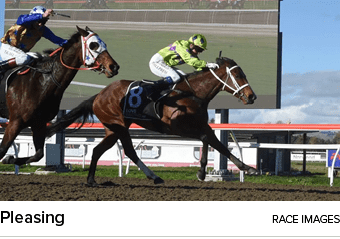 Pleasing Race Image