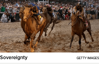 Sovereignty getty image