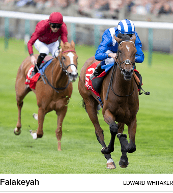 Falakeyah Edward Whitake