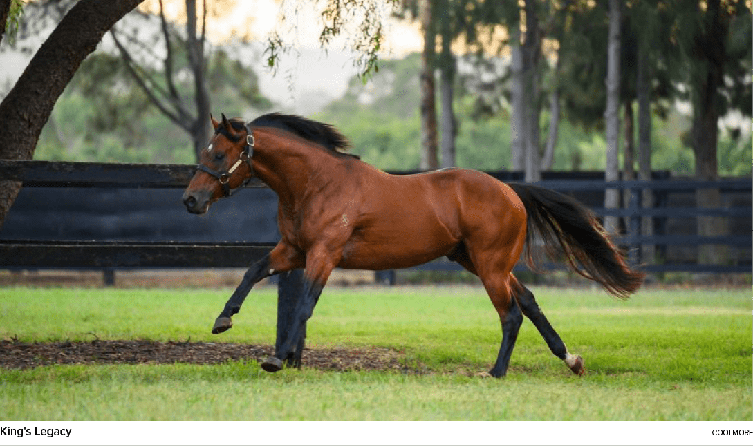 King's Legacy coolmor