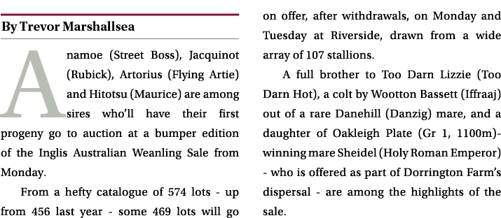 ￼ Anamoe (Street Boss), Jacquinot (Rubick), Artorius (Flying Artie) and Hitotsu (Maurice) are among sires who’ll have...