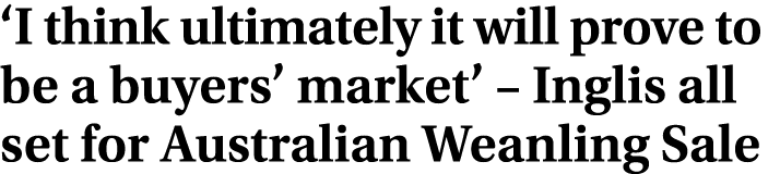 ‘I think ultimately it will prove to be a buyers’ market’ – Inglis all set for Australian Weanling Sale