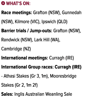 ￼ What's on: Race meetings: Grafton (NSW), Gunnedah (NSW), Kilmore (VIC), Ipswich (QLD) Barrier trials / Jump outs: G...