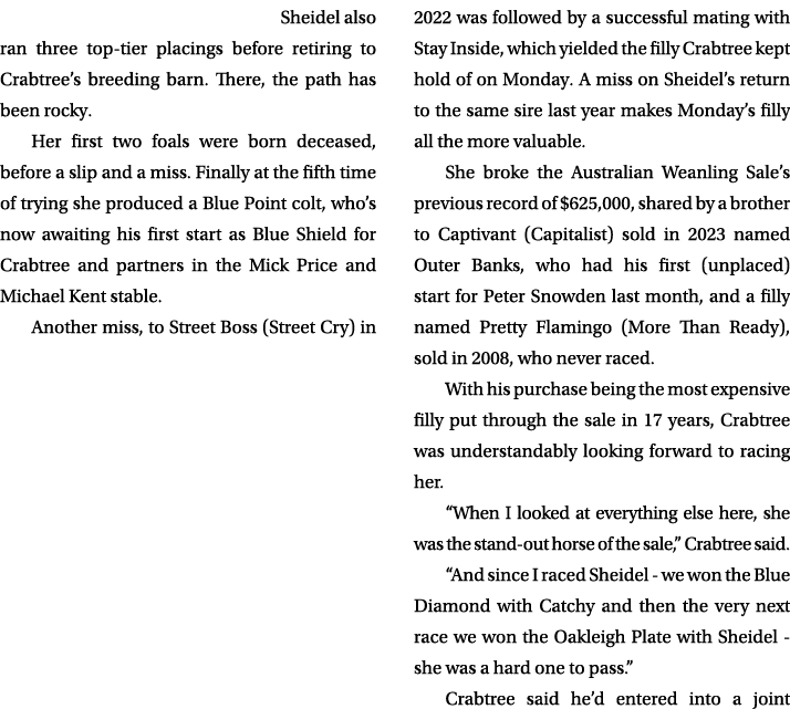 Sheidel also ran three top tier placings before retiring to Crabtree’s breeding barn. There, the path has been rocky....