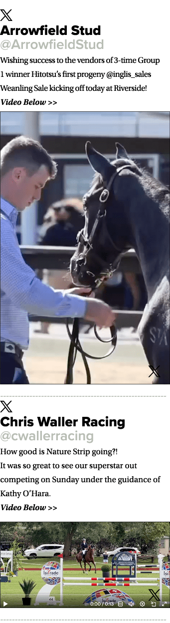 ￼ Arrowfield Stud @ArrowfieldStud Wishing success to the vendors of 3 time Group 1 winner Hitotsu’s first progeny @in...