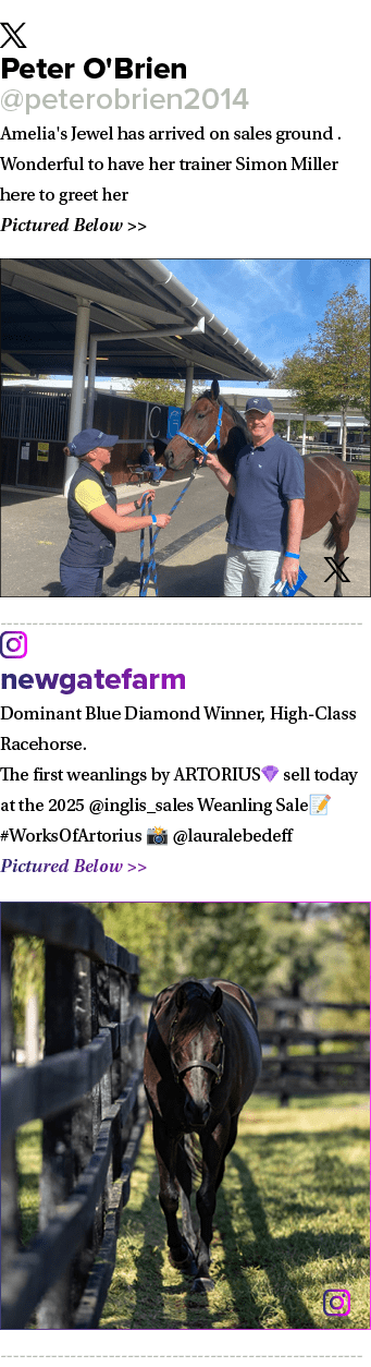 ￼ Peter O'Brien @peterobrien2014 Amelia's Jewel has arrived on sales ground . Wonderful to have her trainer Simon Mil...