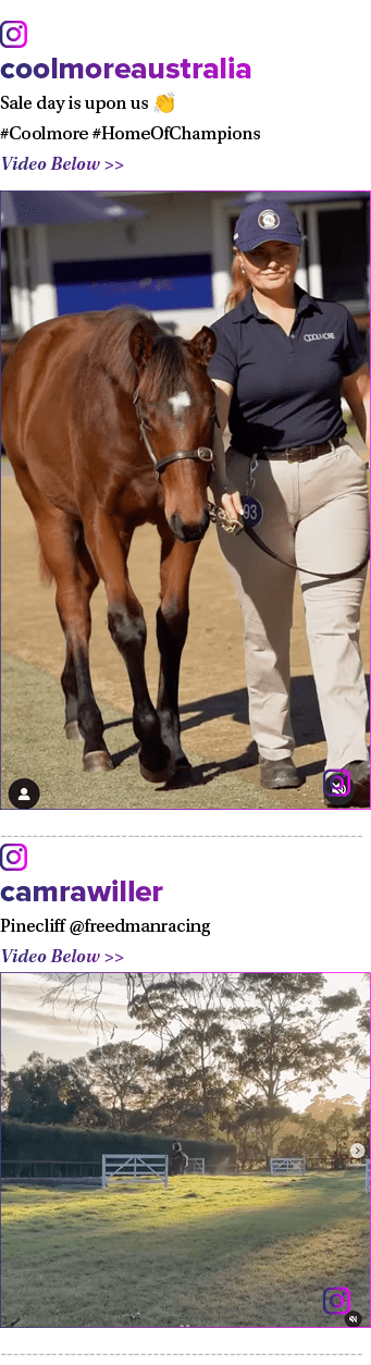 ￼ coolmoreaustralia Sale day is upon us 👏 #Coolmore #HomeOfChampions Video Below   ￼ ￼ camrawiller Pinecliff @freed...
