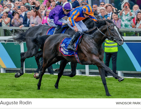 Auguste Rodin Windsor Par