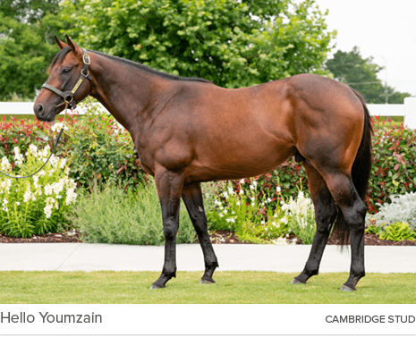 Hello Youmzain Cambridge Stu