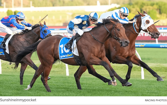 Sunshineinmypocket Racing Photo