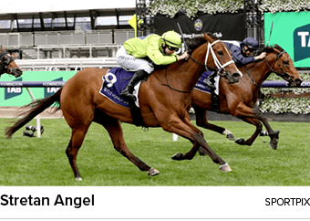 Stretan Angel sportpi