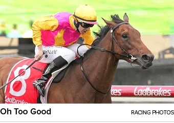 Oh Too Good Racing photo