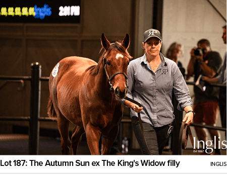 Lot 187: The Autumn Sun ex The King's Widow filly Inglis