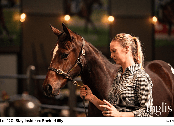 Lot 120: Stay Inside ex Sheidel filly Ingli
