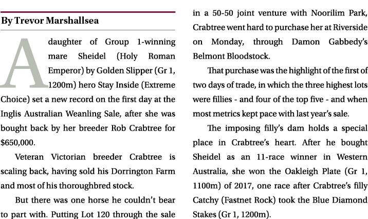 ￼ A daughter of Group 1 winning mare Sheidel (Holy Roman Emperor) by Golden Slipper (Gr 1, 1200m) hero Stay Inside (E...