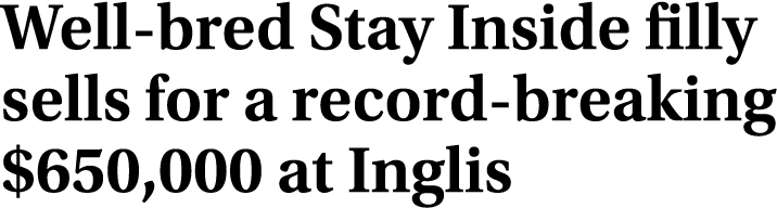 Well bred Stay Inside filly sells for a record breaking $650,000 at Inglis