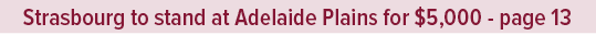 Strasbourg to stand at Adelaide Plains for $5,000 page 1
