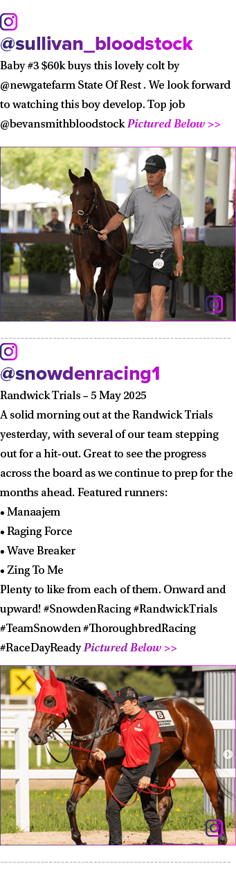 ￼ @sullivan_bloodstock Baby #3 $60k buys this lovely colt by @newgatefarm State Of Rest . We look forward to watching...