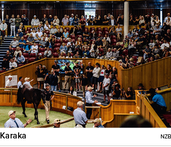 Karaka nz