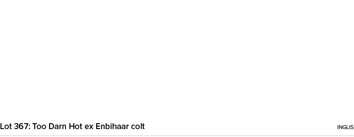 Lot 367: Too Darn Hot ex Enbihaar colt ingli