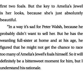 first two foals. But the key to Amelia’s Jewel is her looks, because she’s just absolutely beautiful. “In a way it’s ...