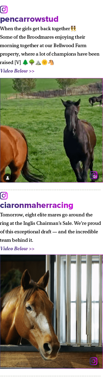 ￼ pencarrowstud When the girls get back together👯‍♀️ Some of the Broodmares enjoying their morning together at our B...