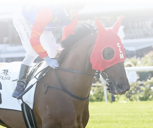 Bella Nipotina on the way to the barriers prior to the running of the Yulong Stud Newmarket Handicap at Flemington Racecourse on March 11, 2023 in Melbourne, Australia. (Photo by Scott Barbour/Racing Photos)