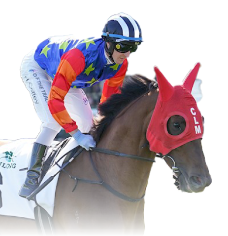Bella Nipotina on the way to the barriers prior to the running of the Yulong Stud Newmarket Handicap at Flemington Racecourse on March 11, 2023 in Melbourne, Australia. (Photo by Scott Barbour/Racing Photos)