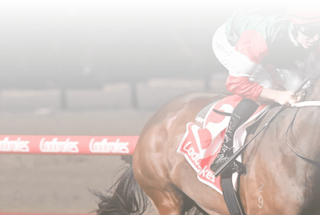 Amelia's Jewel ridden by Damian Lane wins the Ladbrokes Stocks Stakes at Moonee Valley Racecourse on September 29, 2023 in Moonee Ponds, Australia. (Photo by Pat Scala/Racing Photos)