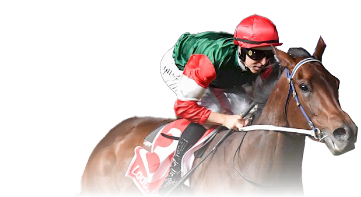 Amelia's Jewel ridden by Damian Lane wins the Ladbrokes Stocks Stakes at Moonee Valley Racecourse on September 29, 2023 in Moonee Ponds, Australia. (Photo by Pat Scala/Racing Photos)