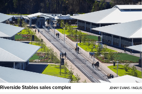 Riverside Stables sales complex Jenny Evans / Ingli