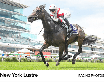 New York Lustre racing photo