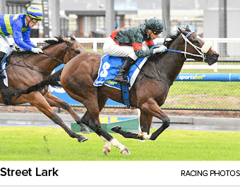 Street Lark racing photo