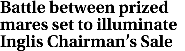 Battle between prized mares set to illuminate Inglis Chairman’s Sale